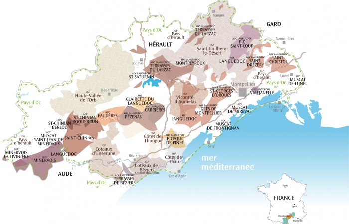 viticulture dans le département de l'Hérault